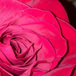 Meet your Posher, Melanie